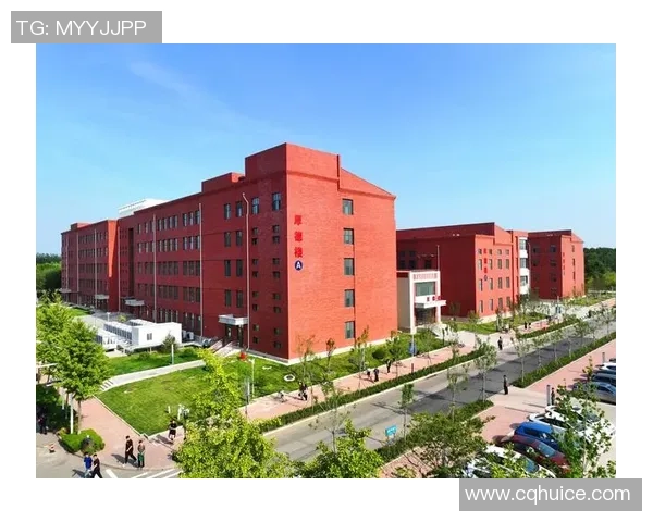 北京羽毛球队盯防革新之路：战术创新与团队协作的完美结合MBA