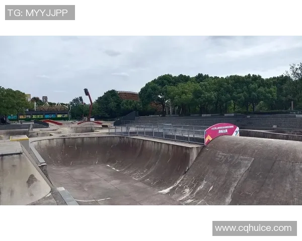 滑板文化的崛起与挑战：深入探讨上海滑板队的运营模式与发展策略MBA