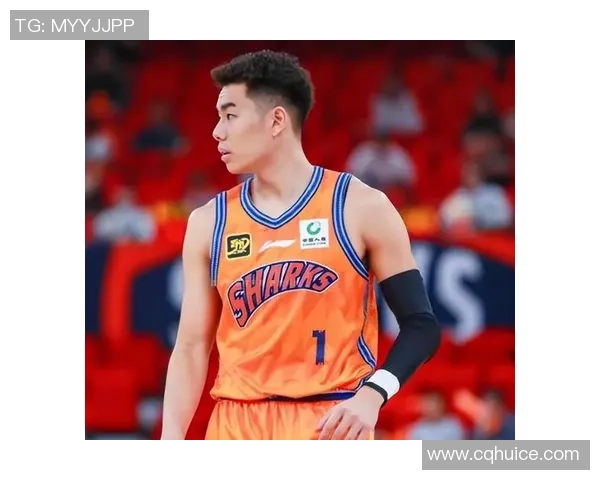 李添荣的奋斗历程与成就探索:从平凡到卓越的励志故事