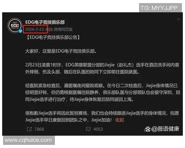 深入分析EDG战队的控制打法及其在比赛中的应用效果